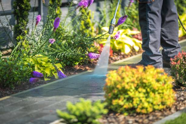 Best Patio and Deck Pressure Washing  in Parkway, CA